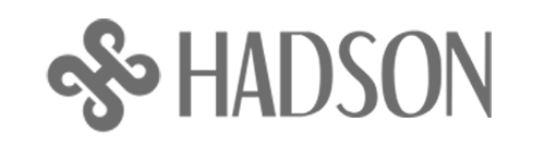 Cooperation with hadson Company